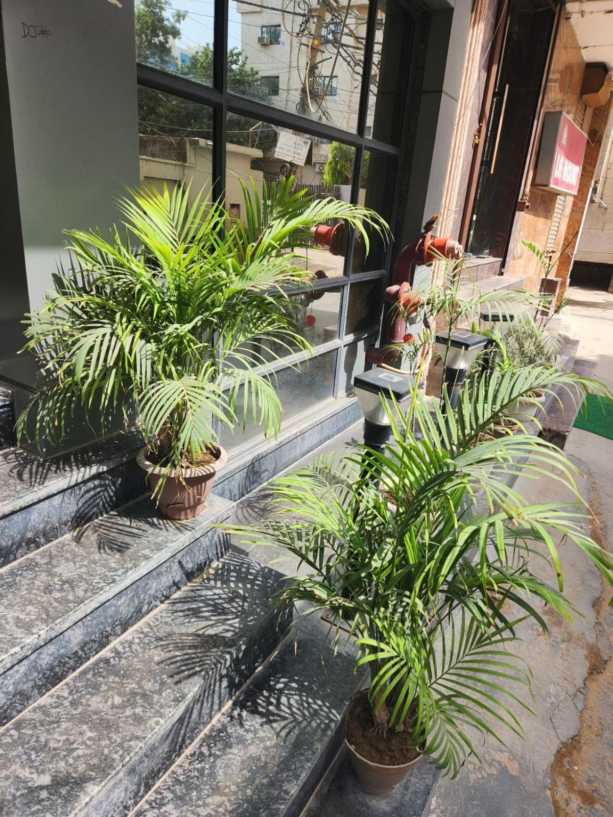 Hotel City Lite Near Igi Airport New Delhi Exterior foto